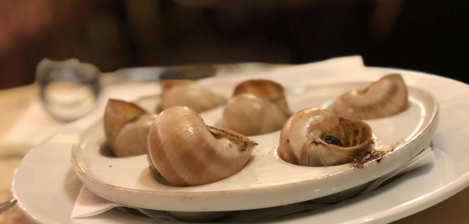 Snailsw